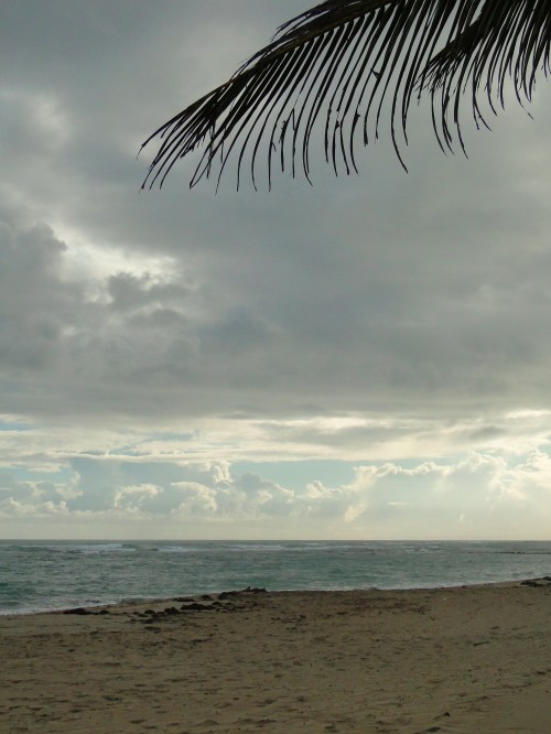 DSC00487 Early morning. Cabarete, Dominican Republic