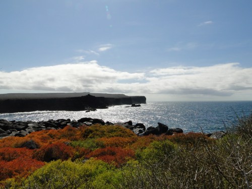 Galapagos coast. Ecuador.