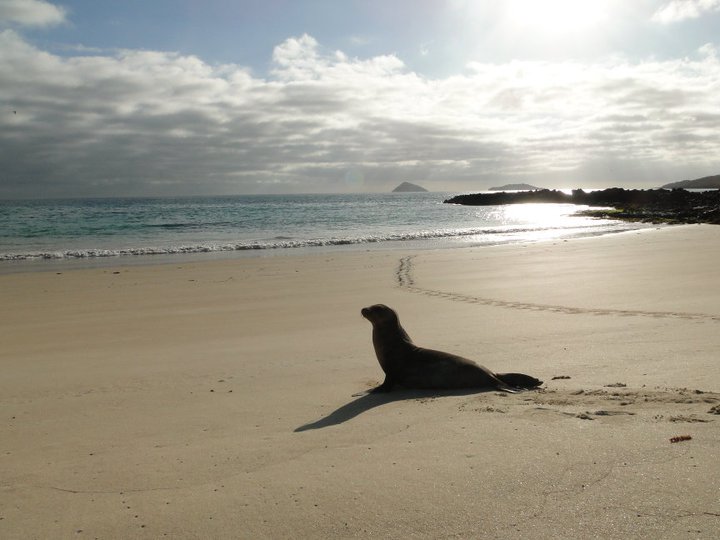 74396_538965526647_5827565_n