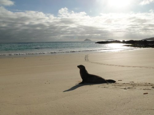 74396_538965526647_5827565_n